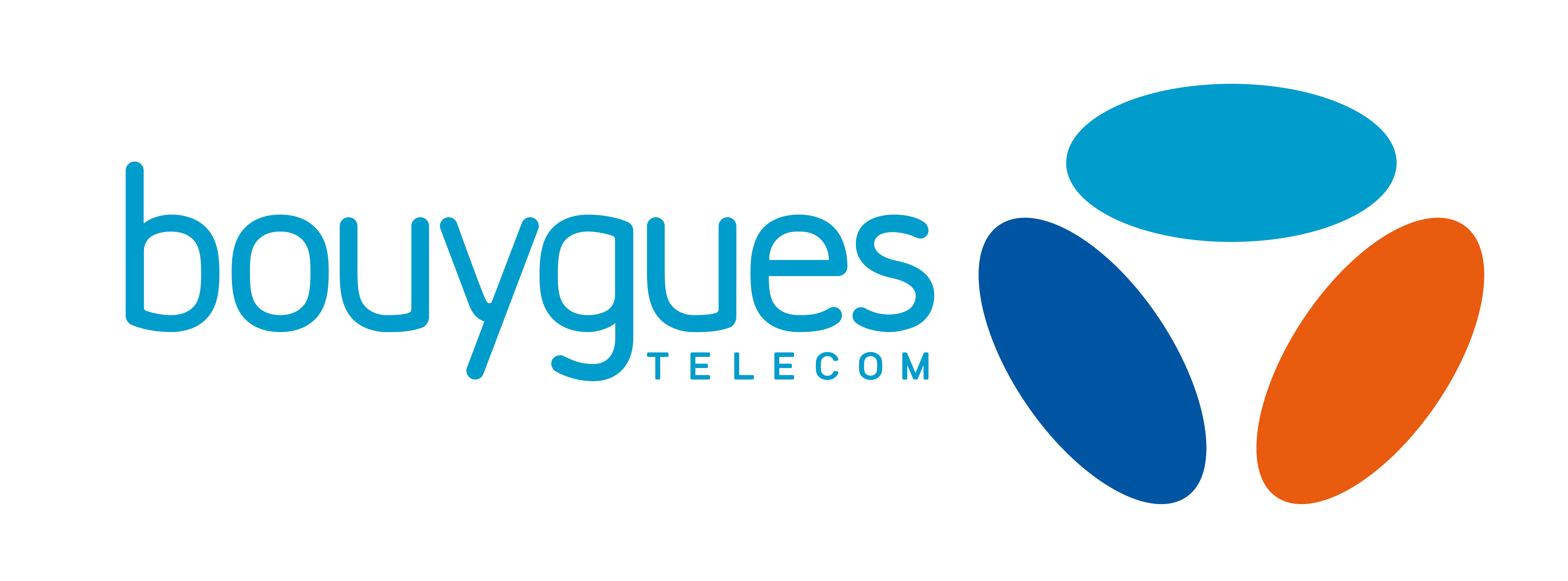 Logo Bouygues - Client formation SECUFER